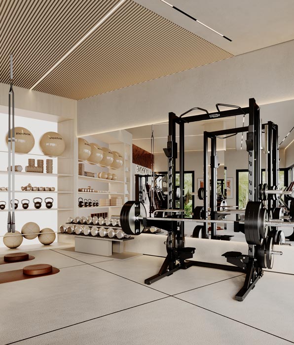 Amenities - Gym & Spa 