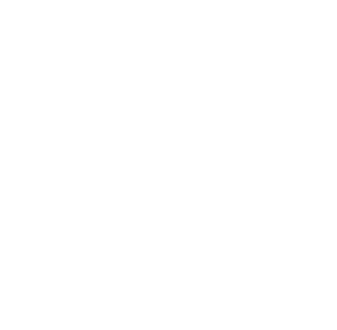 IVS 2025 (International Valuation Standards)