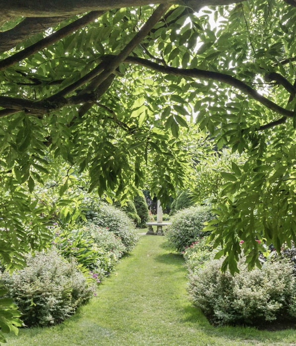 Amenities - Gym & Spa 